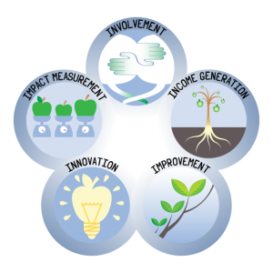 involvement, income generation, innovation, improvement, impact measurement