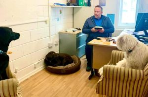 Gareth in a meeting with three dogs